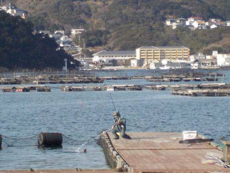 淡路じゃのひれフィッシングパーク 釣果