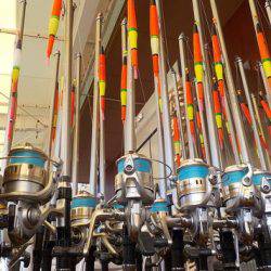 淡路じゃのひれフィッシングパーク 釣果