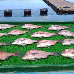 淡路じゃのひれフィッシングパーク 釣果