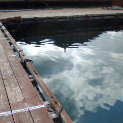 淡路じゃのひれフィッシングパーク 釣果