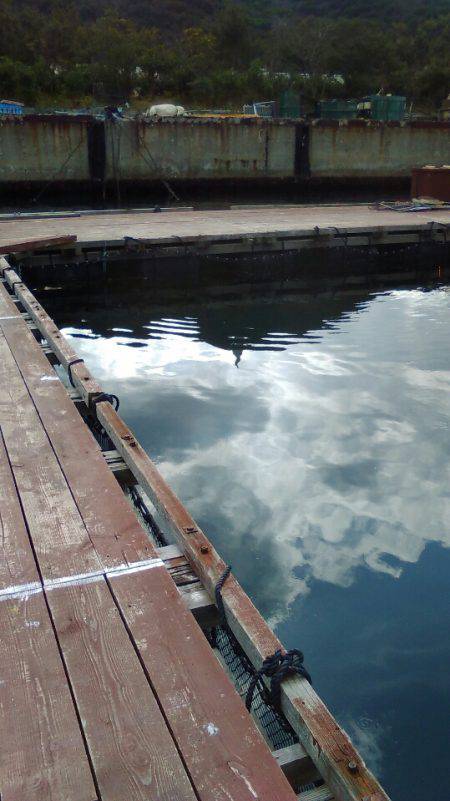 淡路じゃのひれフィッシングパーク 釣果