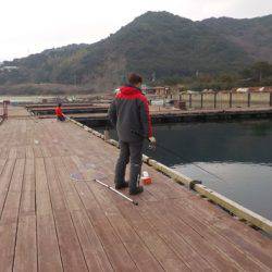 淡路じゃのひれフィッシングパーク 釣果