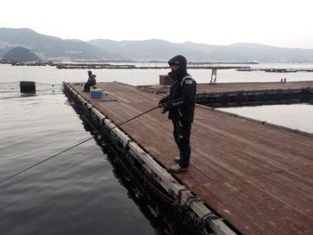 淡路じゃのひれフィッシングパーク 釣果