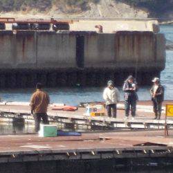 淡路じゃのひれフィッシングパーク 釣果