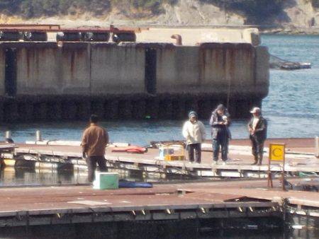 淡路じゃのひれフィッシングパーク 釣果