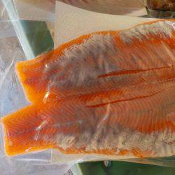 淡路じゃのひれフィッシングパーク 釣果