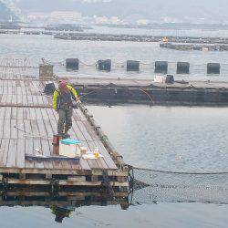 淡路じゃのひれフィッシングパーク 釣果