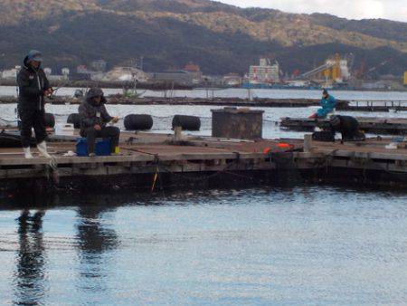 淡路じゃのひれフィッシングパーク 釣果