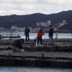 淡路じゃのひれフィッシングパーク 釣果