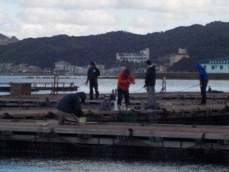 淡路じゃのひれフィッシングパーク 釣果