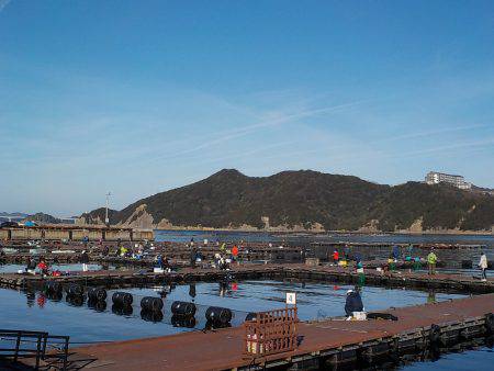 淡路じゃのひれフィッシングパーク 釣果