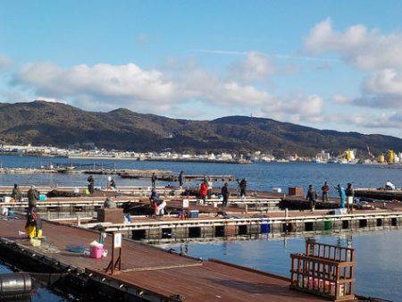 淡路じゃのひれフィッシングパーク 釣果