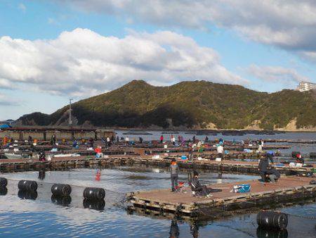 淡路じゃのひれフィッシングパーク 釣果