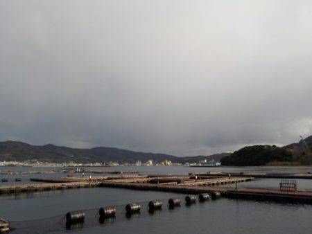 淡路じゃのひれフィッシングパーク 釣果