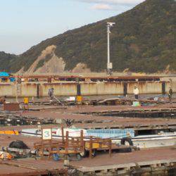 淡路じゃのひれフィッシングパーク 釣果