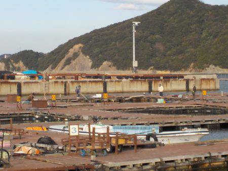 淡路じゃのひれフィッシングパーク 釣果