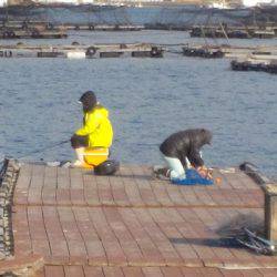 淡路じゃのひれフィッシングパーク 釣果