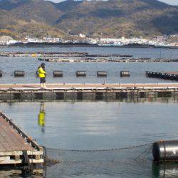 淡路じゃのひれフィッシングパーク 釣果