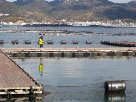 淡路じゃのひれフィッシングパーク 釣果