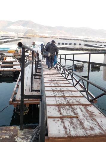 淡路じゃのひれフィッシングパーク 釣果