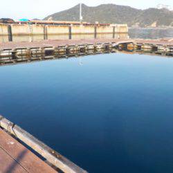 淡路じゃのひれフィッシングパーク 釣果