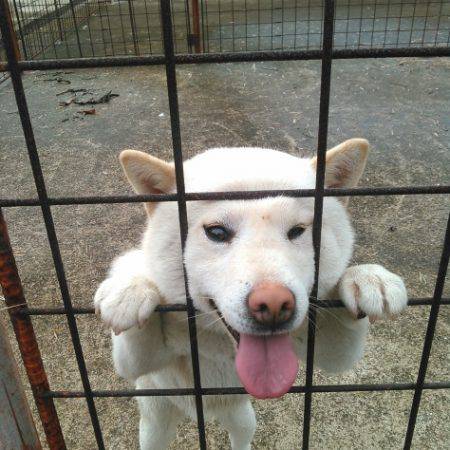 淡路じゃのひれフィッシングパーク 釣果