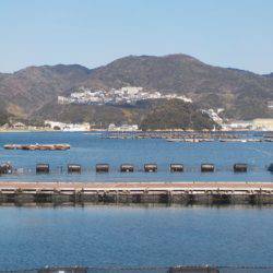 淡路じゃのひれフィッシングパーク 釣果