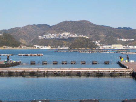 淡路じゃのひれフィッシングパーク 釣果