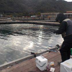 淡路じゃのひれフィッシングパーク 釣果