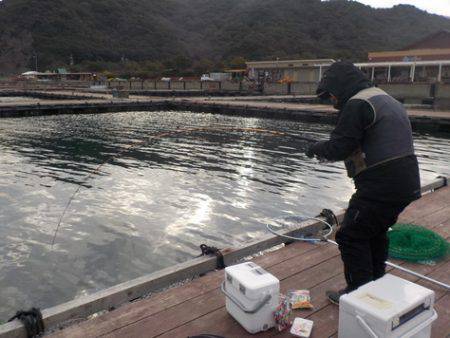 淡路じゃのひれフィッシングパーク 釣果