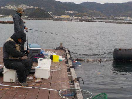 淡路じゃのひれフィッシングパーク 釣果