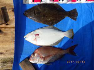石川丸 釣果