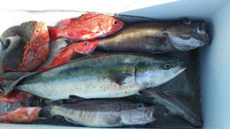 武勝丸（ぶしょうまる） 釣果