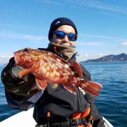 Magic（マジック） 釣果