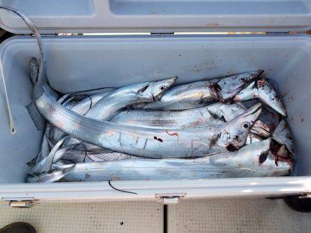 遊漁船　ニライカナイ 釣果