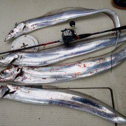 遊漁船 ニライカナイ 釣果