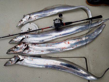 遊漁船 ニライカナイ 釣果