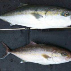 武勝丸（ぶしょうまる） 釣果