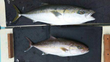 武勝丸（ぶしょうまる） 釣果