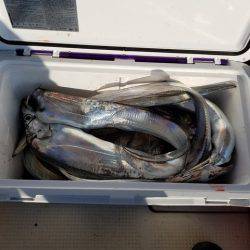 遊漁船 ニライカナイ 釣果