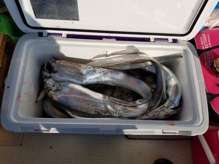 遊漁船 ニライカナイ 釣果