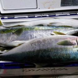 スカイマリン 釣果