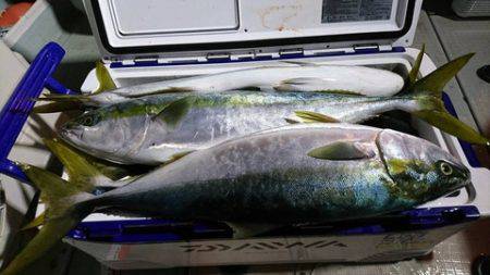 スカイマリン 釣果