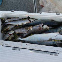 第二大福丸 釣果