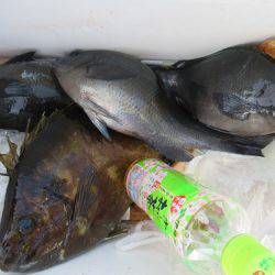 濱田渡船 釣果