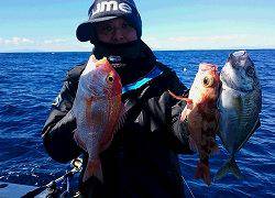 しまや丸 釣果