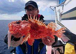 しまや丸 釣果
