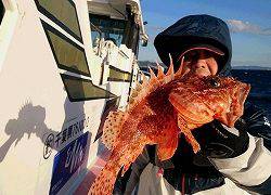 しまや丸 釣果