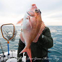 Marine Frog 釣果