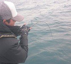 IDATEN（イダテン） 釣果